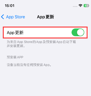 延边朝鲜族苹果15维修中心如何让iPhone15APP自动更新